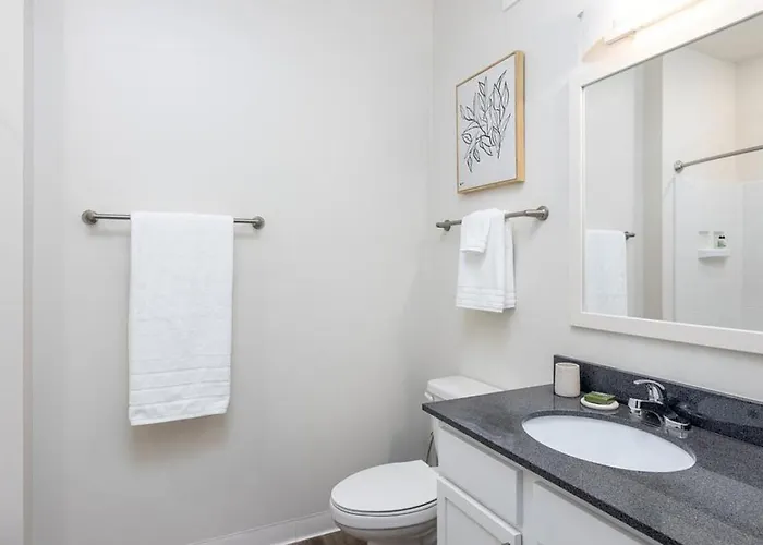 Apartment Landing Modern With Amazing Amenities Columbus